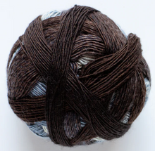 Load image into Gallery viewer, Schoppel Wolle Zauberball 100 Merino Virgin Wool 4ply
