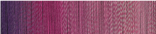 Load image into Gallery viewer, Schoppel Wolle Zauberball 100 Merino Virgin Wool 4ply