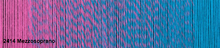 Load image into Gallery viewer, Schoppel Wolle Zauber Perlen Merino Wool 4ply