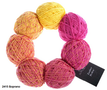 Load image into Gallery viewer, Schoppel Wolle Zauber Perlen Merino Wool 4ply