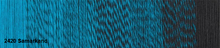 Load image into Gallery viewer, Schoppel Wolle Zauber Perlen Merino Wool 4ply