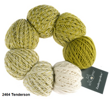 Load image into Gallery viewer, Schoppel Wolle Zauber Perlen Merino Wool 4ply