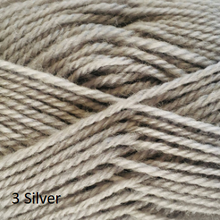 Load image into Gallery viewer, Crucci Ferndale 8ply pure wool yarn, silver