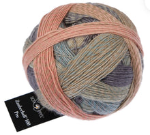 Load image into Gallery viewer, Schoppel Wolle Zauberball 100 Merino Virgin Wool 4ply
