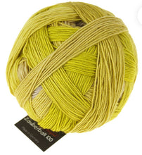 Load image into Gallery viewer, Schoppel Wolle Zauberball 100 Merino Virgin Wool 4ply
