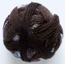 Load image into Gallery viewer, Schoppel Wolle Zauberball 100 Merino Virgin Wool 4ply
