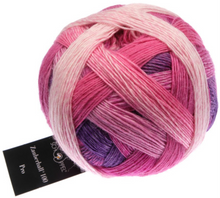 Load image into Gallery viewer, Schoppel Wolle Zauberball 100 Merino Virgin Wool 4ply
